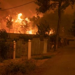 صحف:الحرائق تتسع بالدول المغاربية.. النيران تقتل العشرات في الجزائر وتصل إلى تونس والمغرب وقطر تعين سفير في السعودية