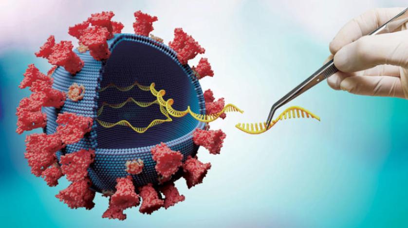شكوك في تخليق «كورونا» مختبرياً بعد تغيّر بروتينه الرئيسي وعالمان أميركيان يعتقدان أن التكنولوجيا الحيوية ساعدت في تطويره