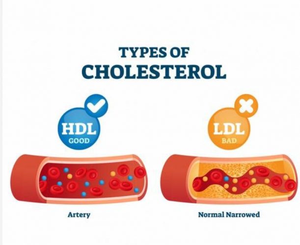 خبير يكشف مفهوم الكوليسترول الضار والجيد بالغذاء
