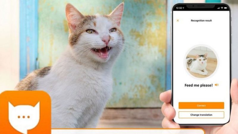 "مياو توك": تطبيق جديد لترجمة مواء القطط! امضي وقتا ممتعا مع قطتك