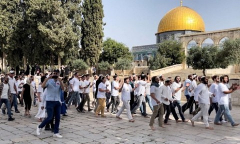 23/5/18:إصابة عشرات الفلسطينيين في اقتحام الجيش الإسرائيلي لنابلس، والعثور على 4 أطفال أحياء في غابة